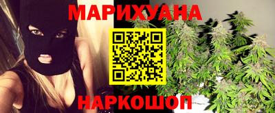 крисы Шахты