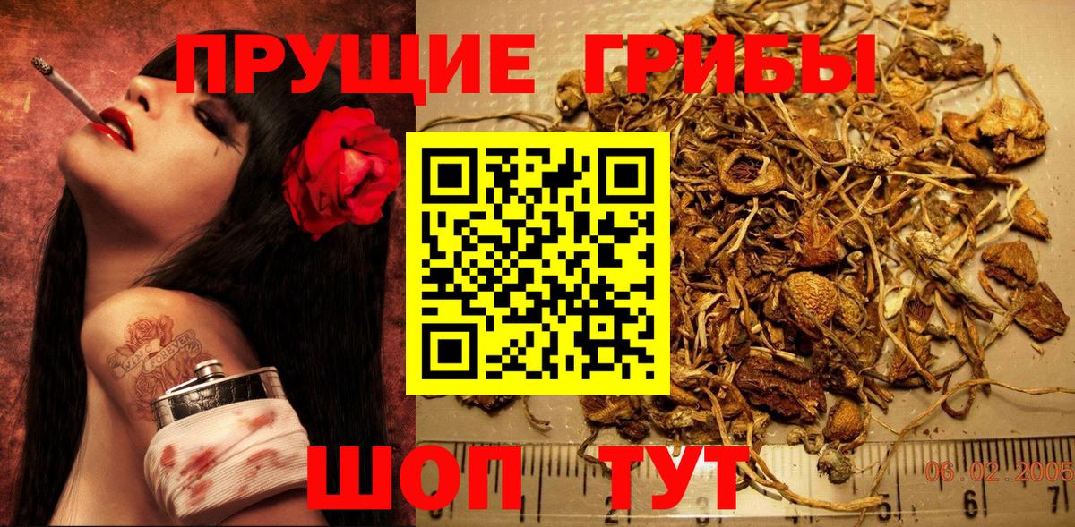 Люберцы  где купить наркотик  Галлюциногенные грибы Psilocybe  Вход с VPN  Галлюциногенные грибы MAGIC MUSHROOMS 
